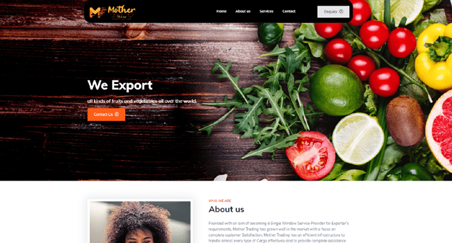 portfolio